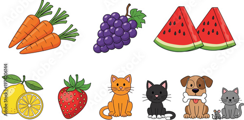 Fruits vegetables and pets collection with carrot grapes watermelon lemon strawberry cat and dog cartoon vector illustration set