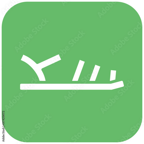Sandal Icon