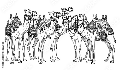 A black and white illustration of five camels with ornate saddles