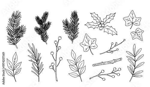 A set of various botanical illustrations of leaves and branches in a minimalist line art style