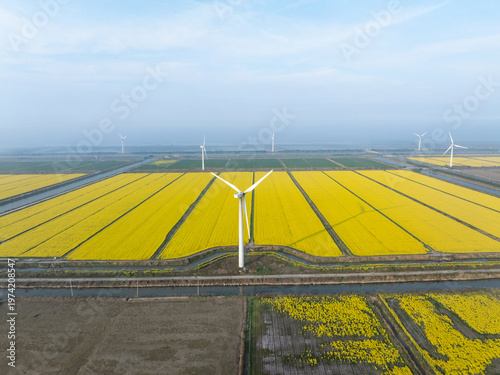 Photos Golden rapeseed fields with wind turbines in a rural agricultural landscape capt