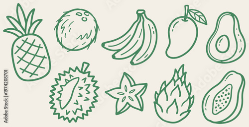 Collection of tropical fruits drawn in a simple doodle line art style.