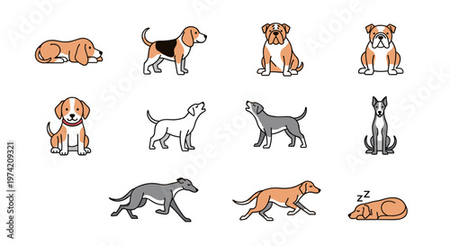Collection of diverse dog breeds depicted in a charming cartoon illustration style