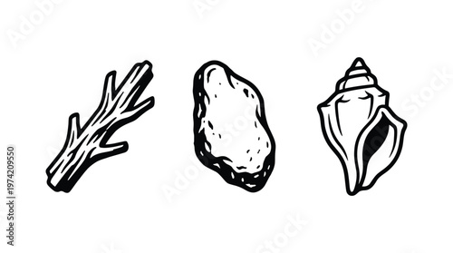 Natural beach elements, driftwood stick pebble and seashell, sketchy style.