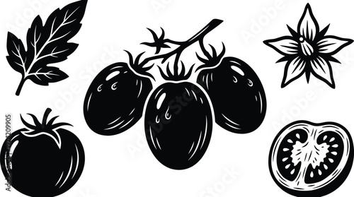 Fresh tomato plant silhouettes with whole fruit and sliced vegetable.