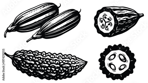 Black silhouette of gourds and bitter melon.