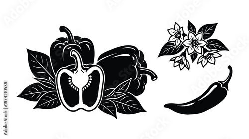 Fresh bell peppers and spicy chili pepper with flowers and leaf art.