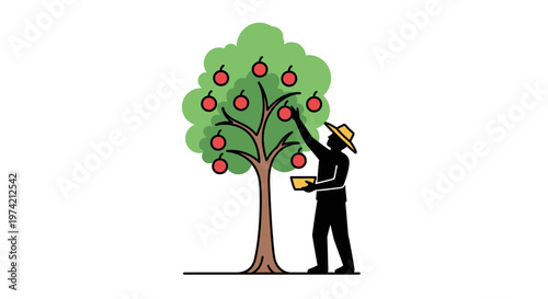Man picking apples from tree.