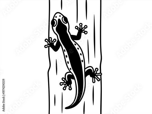 Black gecko climbing on textured vertical wood panel white background