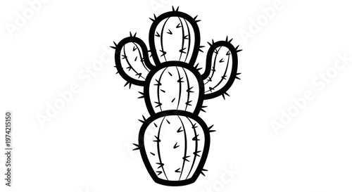 Cactus plant with sharp spines.