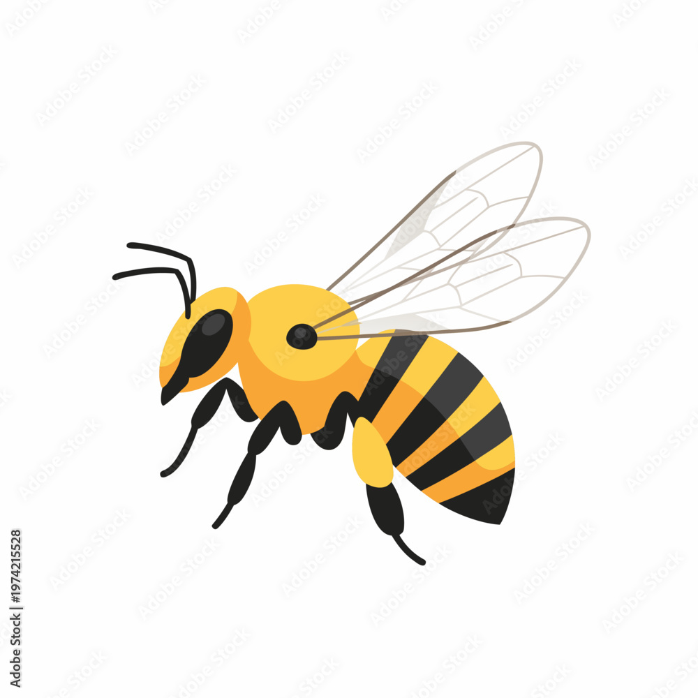 Fototapeta premium Bee flying on white background isolated illustrative insect