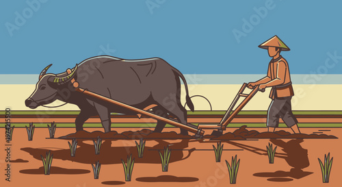 Man plowing field with brown oxen 1.