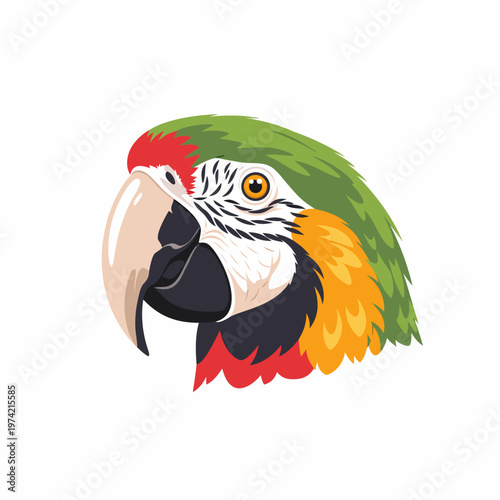Macaw parrot head facing right on plain white background
