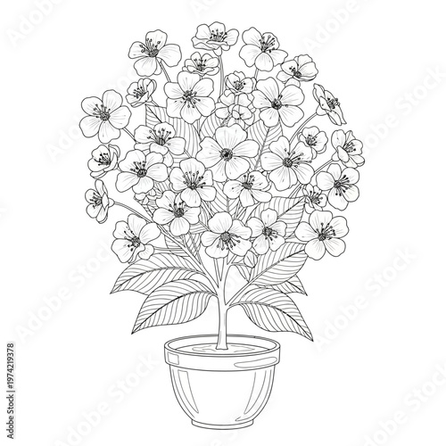 Potted Flowering Plant with Delicate Blossoms and Leaves, Black and White Line Art