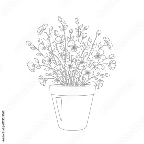 Delicate floral illustration in a pot, line art, black and white, botanical sketch