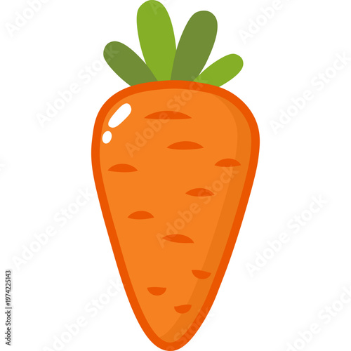 Carrot Vegetable