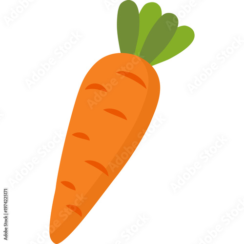 Carrot Vegetable