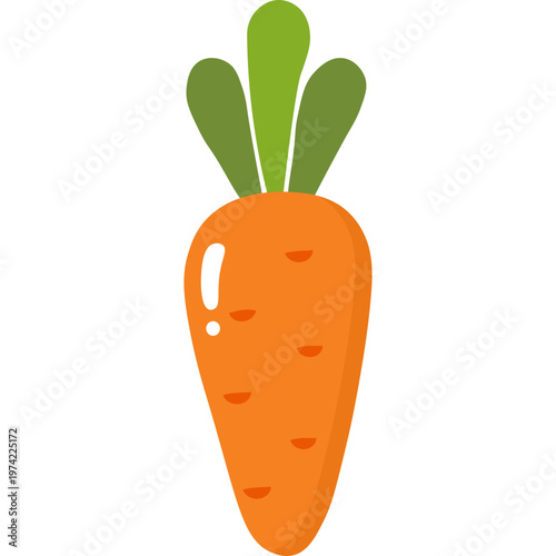 Carrot Vegetable