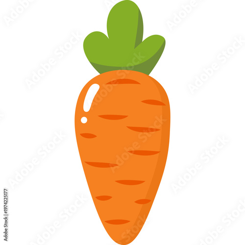 Carrot Vegetable