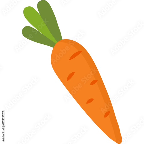Carrot Vegetable