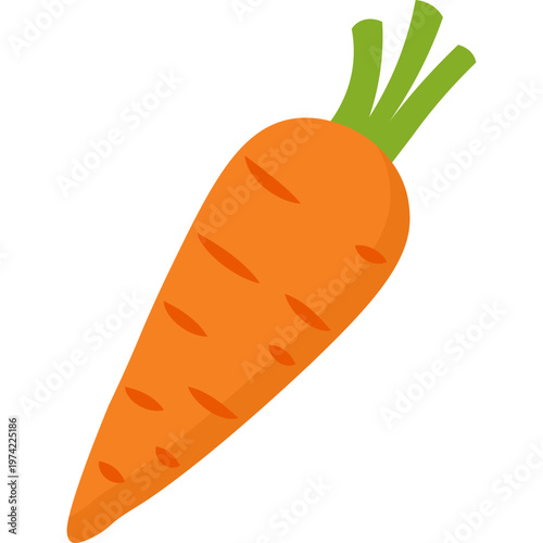 Carrot Vegetable