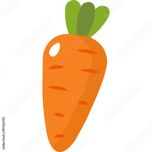 Carrot Vegetable