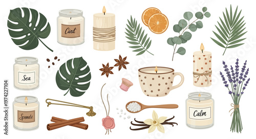 Wellness and Aromatherapy Vector Set with Scented Candles, Lavender, Cinnamon, Tropical Monstera Leaves, and Spa Accessories isolated on White Background