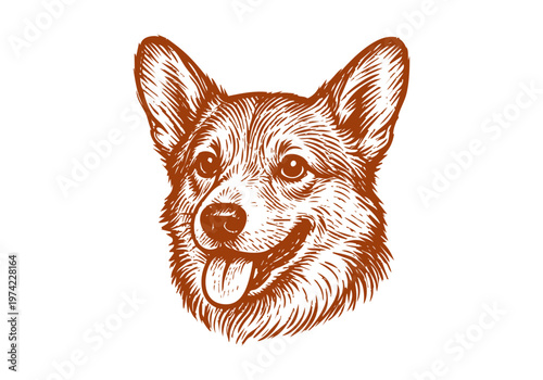 Corgi dog hand drawn sketch vector illustration pet