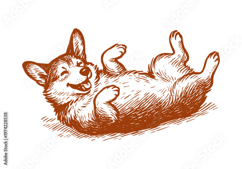Corgi dog hand drawn sketch vector illustration pet
