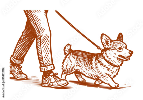 Corgi dog hand drawn sketch vector illustration pet