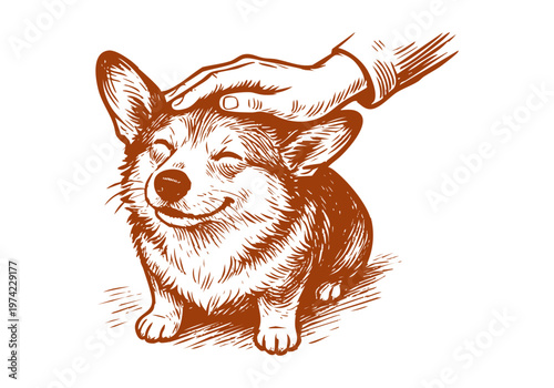 Corgi dog hand drawn sketch vector illustration pet