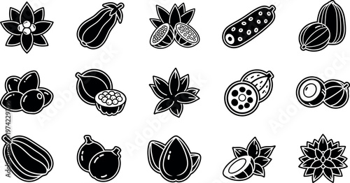 Black and white cacao pods and flowers