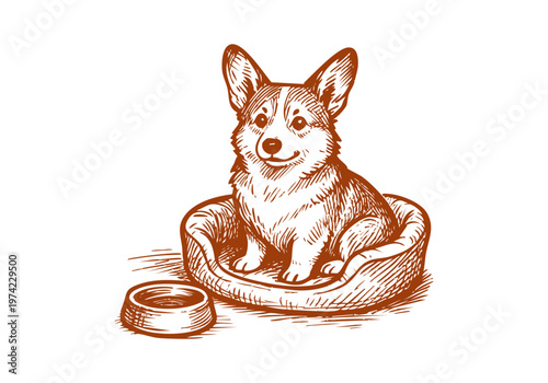 Corgi dog hand drawn sketch vector illustration pet