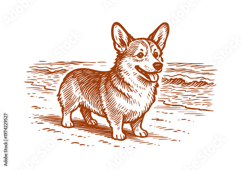 Corgi dog hand drawn sketch vector illustration pet