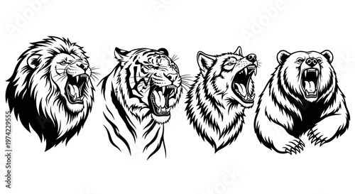 Fierce animals roaring loudly together face.