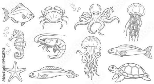 Sea creatures illustrations in black and white.
