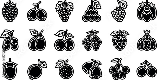 Black and white fruit in rows berries cherries peaches