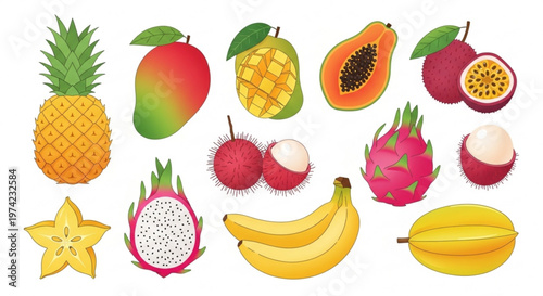 A colorful vector illustration of various tropical fruits on a white background