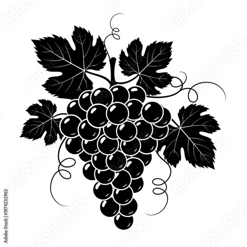 Black Grapes Bunch with Leaves and Tendrils - Silhouette Style