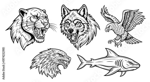 Wild animals head drawings.