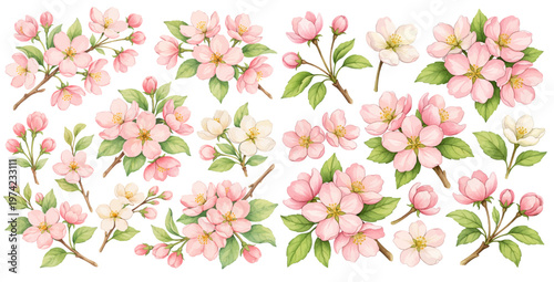 A charming watercolor collection of apple blossom featuring delicate pink and white flowers with fresh green leaves illustrated in a natural botanical style.