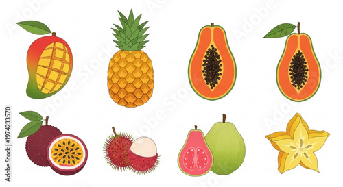 A colorful vector illustration of various exotic fruits on a white background