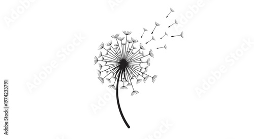 Black dandelion flower silhouette with seeds blowing away