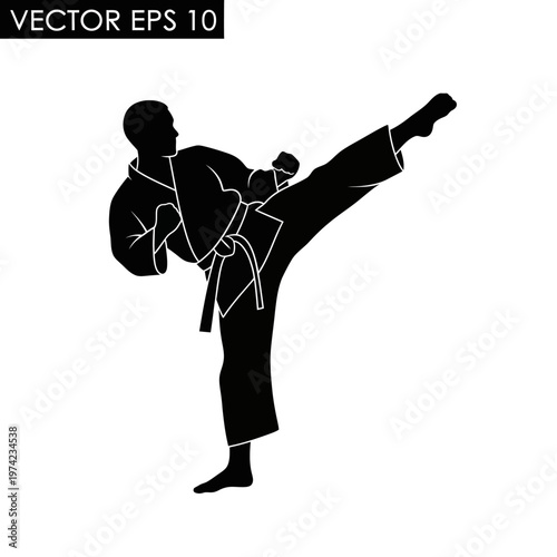Karate martial arts athlete performing high kick silhouette