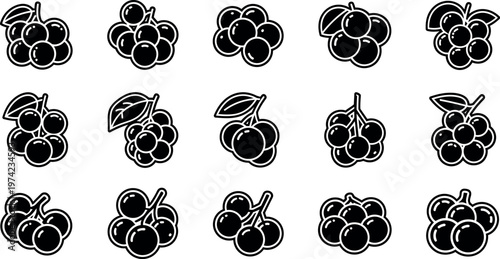 Black and white of clusters of berries with leaves on white background