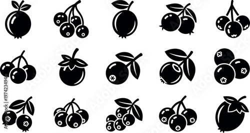 Black and white of various berries and fruits cherries