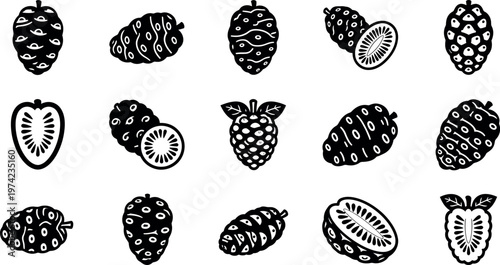 Black and white of various berry fruits berries kiwi strawberry