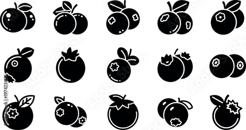 Black and white of various fruits with leaves and stems apples pomegranates