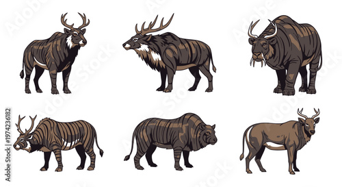 Collection of various wild animal species 1.