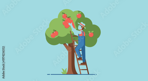 Man picking apples from tree.